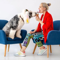 Ieva Volungė Šunų ir kačių kirpykla