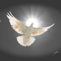 Viktorija Gulbinienė Paminklai, antkapiai, paminklų gamyba 23 metų patirtis