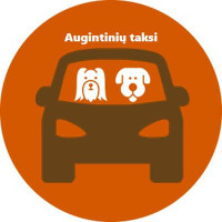 Augintiniu Taksi Augintiniu Taksi