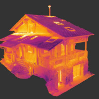 Saulius Ceplinskas Termovizinė patikra