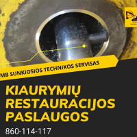 Ieva Perminienė Kiaurymių restauravimas