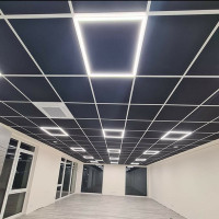 Eimantas Vižinis Armstrong lubų montavimas