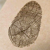 Medžio kodas Stogų dengimas ir remontas, mediniai karkasai, terasos