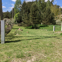 Ernestas Bernatavicius Profesionalūs aplinkos tvarkymo darbai – nuo medžių iki žolė