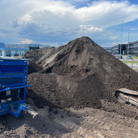 Mindaugas Bunikis Sijotas juodzemis