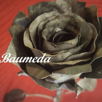BAUMEDA BAUMEDA