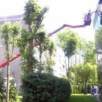 Alma Gelšvartienė Autobokštelio nuoma Alma Gelšvartienė Autobokštelio nuoma