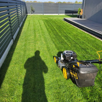 MB Deiskara Žolės pjovimas