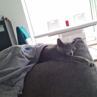 MB  AVStogai Stogu dengimas / Invidualių namu statyba