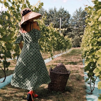 Vita Žikiene Oranžerijos erdvė, vynuogynai.