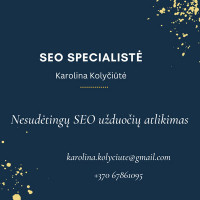 Karolina Nesudėtingų Seo užduočių atlikimas Google ir Meta Ads