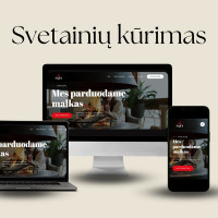 Internetinių svetainių kūrimas Shopify el.parduotuvių kūrimas