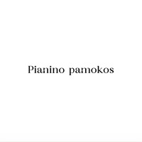 Kristina Korch Pianino pamokos Vilniaus senamiestyje Kristina Korch Pianino pamokos Vilniaus senamiestyje