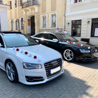 Transportas vestuvėms Prabangus Audi A6, A8, A8l patrauklios kainos Transportas vestuvėms Prabangus Audi A6, A8, A8l patrauklios kainos