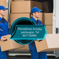 Robertas Ronkauskis Transporto paslaugos furgonu su liftu kraustymas Mažeikiai