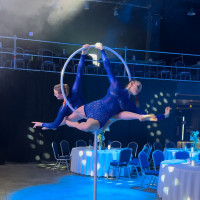 Eglina Mažeikienė Pole dance pasirodymai. Oro akrobatika. Vipera