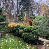 Alina P. Nedidelių sklypų priežūra ir įrengimas