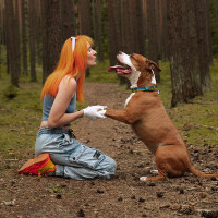 Olga Polushyna Vedžiojimo paslaugos, zaidimai ir dresura