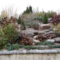 aplinkostvarka aplinkostvarka Trinkelių klojimas, veja, drenažo įrengimas. Apželdinimas aplinkostvarka aplinkostvarka Trinkelių klojimas, veja, drenažo įrengimas. Apželdinimas