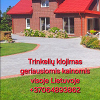 Karolis vidauskis Trinkelių klojimas