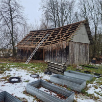 Vilma Gaižutienė Šiukšlių išvežimas, griovimo darbai