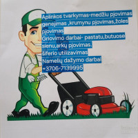 darius katalynas Griovimo darbai-medziu rizikingu pjovimas darius katalynas Griovimo darbai-medziu rizikingu pjovimas