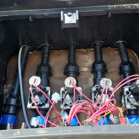 kestas simkonis Laistymo sistemos irengimas, Vejos irengimas, augalu apšviet