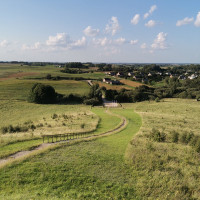 Mindaugas Žolės Pjovimas Su Trimeriu Ir Žoliapjove Mindaugas Žolės Pjovimas Su Trimeriu Ir Žoliapjove