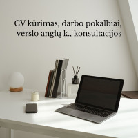 Sandra Cv kūrimas, darbo pokalbiai, verslo anglų k., konsultacijos