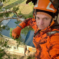 Marius Kernazickas Medžių pjovimas visoje Lietuvoje