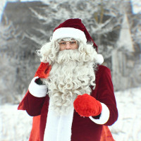 Justas Vedėjas Kalėdų senelis