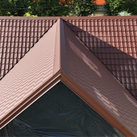 Ernestas Plukas Šlaitinių stogų dengimas