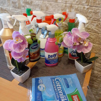 Lina Valymo paslaugos dirbam ir savaitgaliais