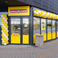 Gitana Gitana Balionai,foto sienos.