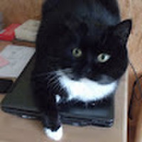 Rimas Kisielius Kvieskite santechniką -elektriką į namus