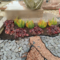 Simona Kazlauskienė Žukauskytė Kapų tvarkymas ir priežiūra