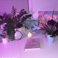 Matematikos konsultacijos, ruošimas Pupp ir Vbe