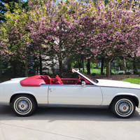 Giedre Armine Cadillac Eldorado nuoma