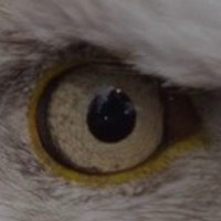 Vidaus Apdaila Vilniuje 863561111 Vidaus apdaila Vilniuje