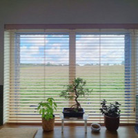 Mykolas Gurkovas Roletai, medinės žaliuzės, tinkleliai, markizės, remontas .