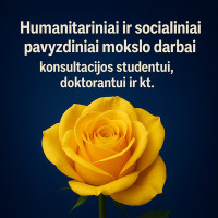 Aistė Doktorantui, studentui. Profesionali, konfidenciali pagalba