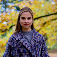 Reda Psichoterapinis konsultavimas. Geštalto terapija