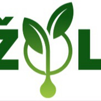 Kitos paslaugos Vaismedžių genėjimas