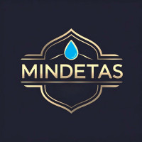 Mindaugas Sausas/detalus/cheminis automobilių ir baldų valymas