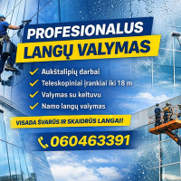 Mindaugas Langu valymas