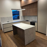 linas zakarevicius Nestandartinių ir standartinių kietų baldų gamyba