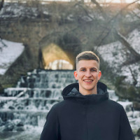 Dovydas Žičkus Plytelių meistas