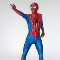 Švenčių organizavimas Žmogus voras ir kiti berniukiški personažai