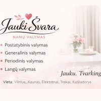 Džestina Mackevičiūtė Generalinis, postatybinis, periodinis namu valymas