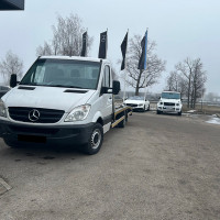 Nojus Svetoka Traliukas, Kaunas Marijampolė - visa Lietuva